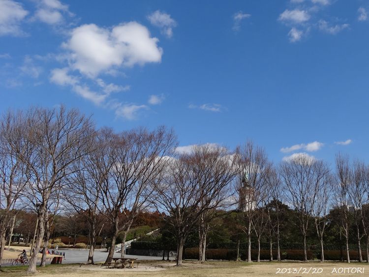 青空・広場2013･2･20 147