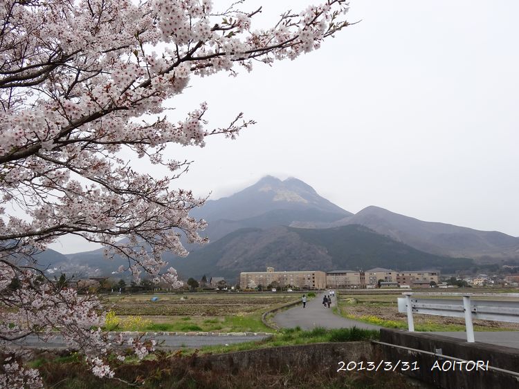 秀峰館2013･3･31 152