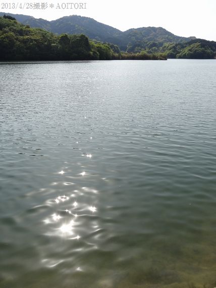 キラキラ2013･4･28 050