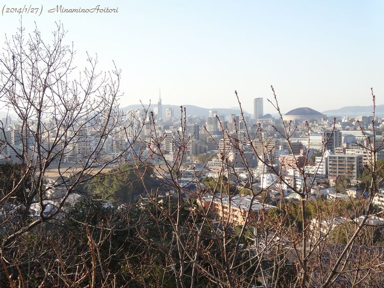 桜枝・タワー2014･1･27 125