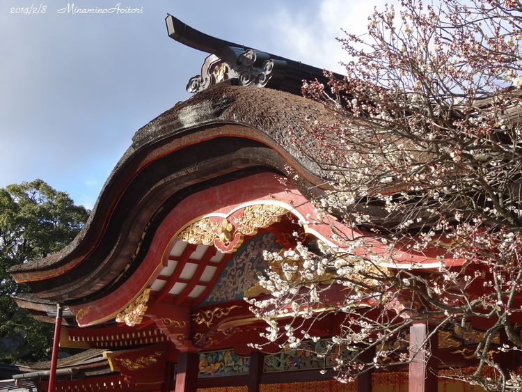 飛梅・屋根2014･2･8 057