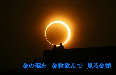 きんかんにっしょく4