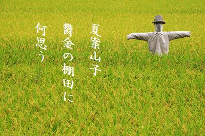かかし3