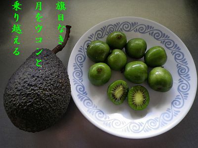 キーゥイ文字入