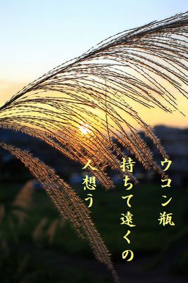 すすき文字入