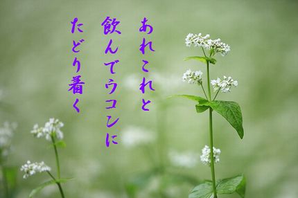 そばの花2文字入り