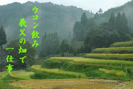 たなだ4文字入