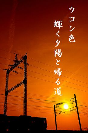 ゆうやけと電車大文字入り