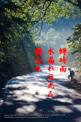 こもれび4文字入新