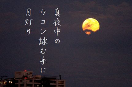 つきとマンション2文字入り