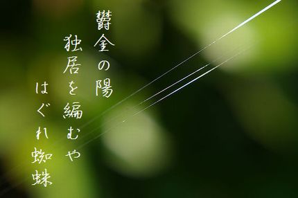 くもの糸文字入り