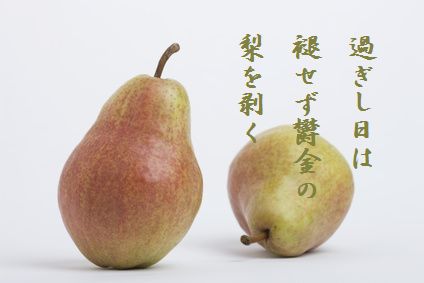 なし文字入り
