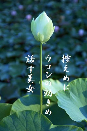すいれん大文字入