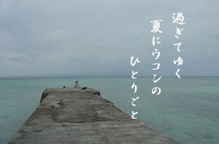 おきなわ堤防小文字入