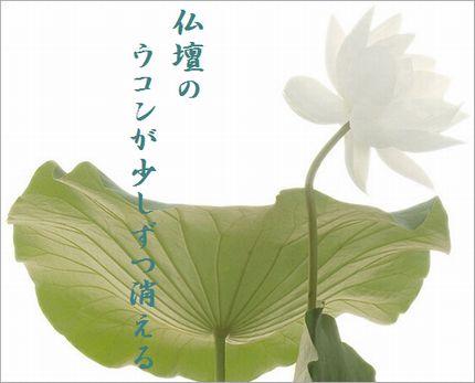 ハスの花4文字入