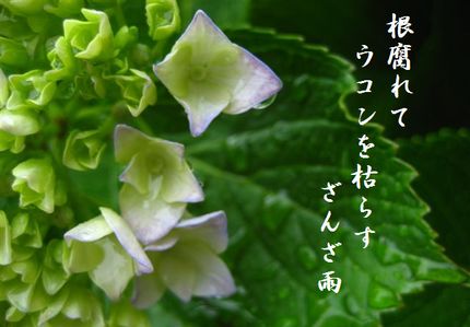 あめ5文字入新