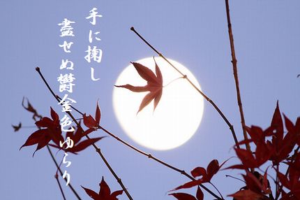 つきと紅葉文字入