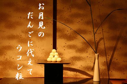 つきみだんご文字入