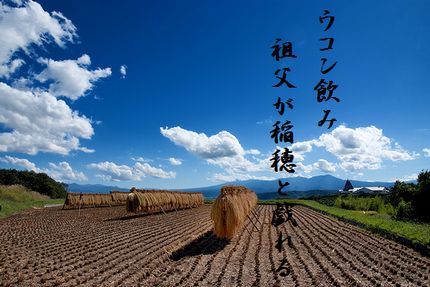 いねかり2文字入