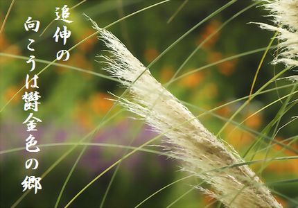 あきの風文字入