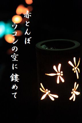 あかとんぼ3文字入