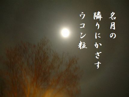 つきみ文字入