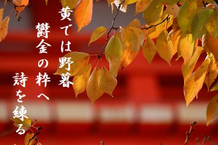 きょうと紅葉文字入