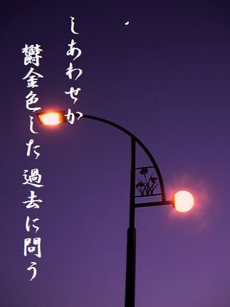つきと街灯文字入り新