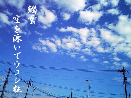 いわし雲2文字入