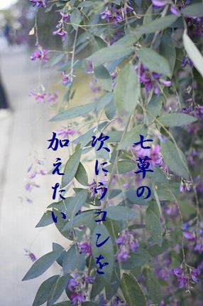 はぎの花3文字入