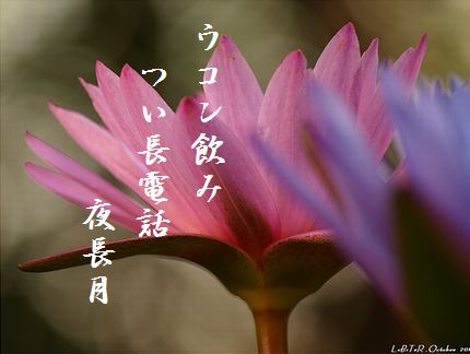 あきの花文字入新