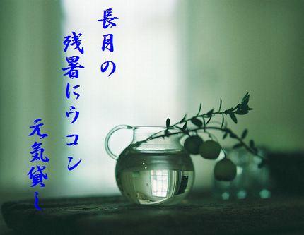みずさし文字入