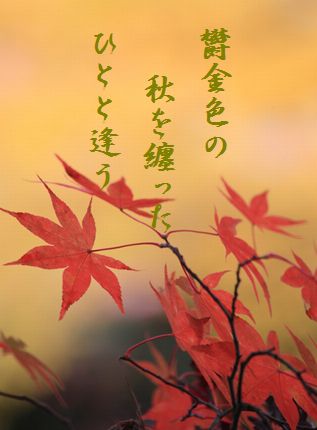 カエデ文字入