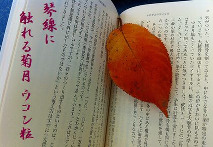 どくしょの秋文字入