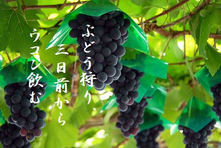 ブドウ狩り3文字入