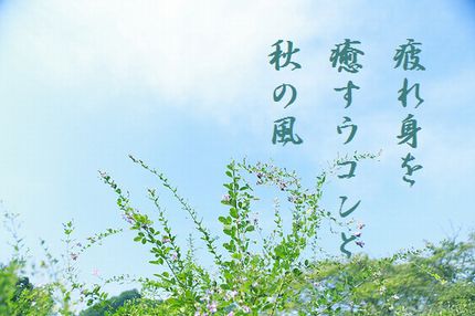 はぎの花(秋の七草)文字入