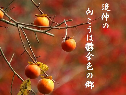 かき(落柿舎)文字入