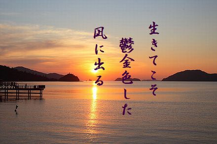 うみの夕日文字入
