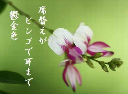 はぎの花4文字入新