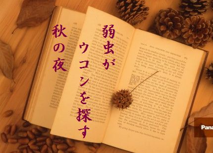 どくしょ3文字入