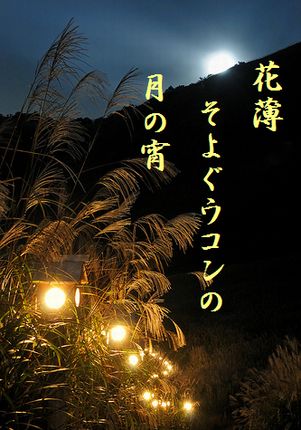 すすき(ライトアップ)文字入