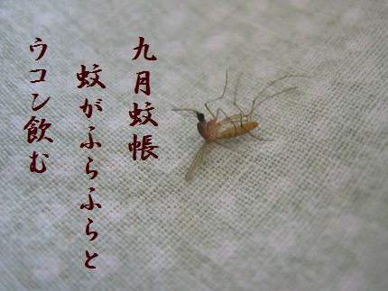 か5文字入