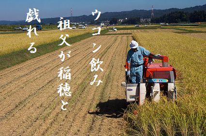 いねかり12文字
