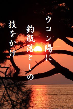 ゆうひと松文字