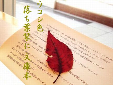 しおり(紅葉)文字