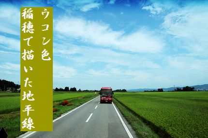 いなほ4文字