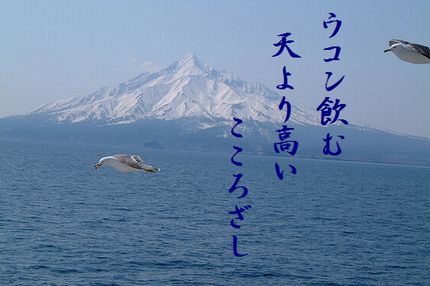 カモメ(北海道2)文字