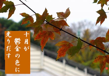 こうよう3文字新