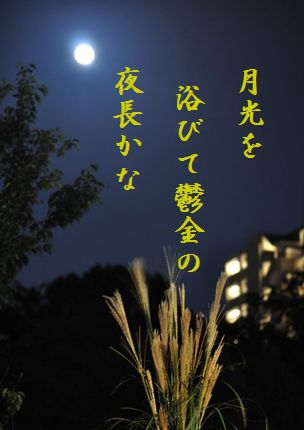 つきみ3文字