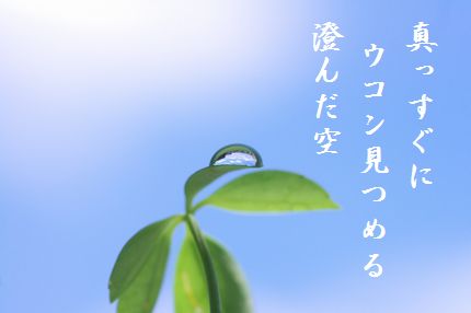 あおぞら1文字